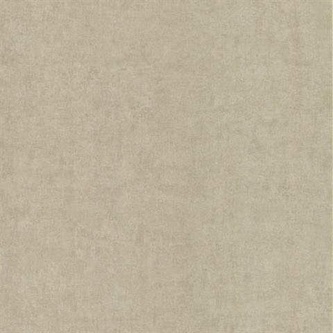 Pierre  Brass Distressed Texture