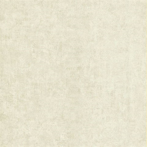 Pierre  Cream Distressed Texture