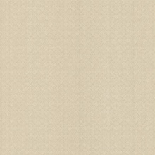 Brabant Light Brown Small Damask Texture