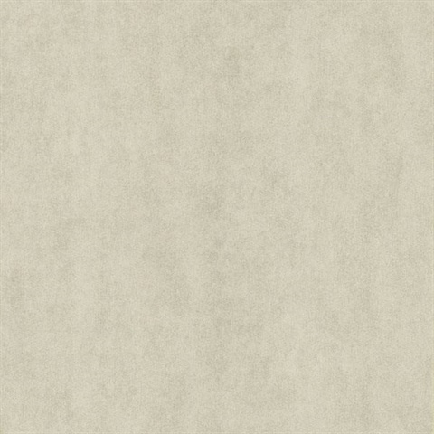 Galen Light Grey Pewter Texture