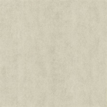 Galen Light Grey Pewter Texture