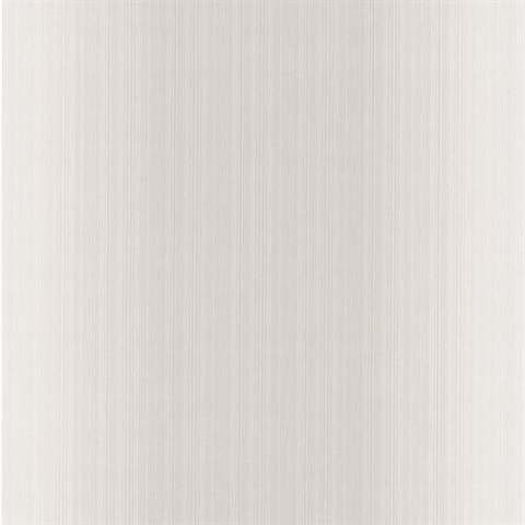 Blanch Cream Ombre Texture