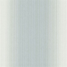 Blanch Light Grey Ombre Texture