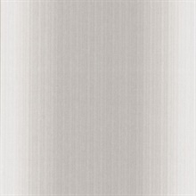 Blanch Taupe Ombre Texture