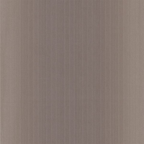Blanch Grey Ombre Texture
