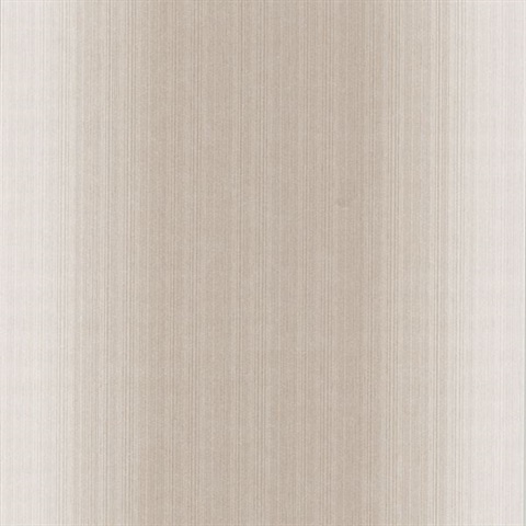 Blanch Beige Ombre Texture