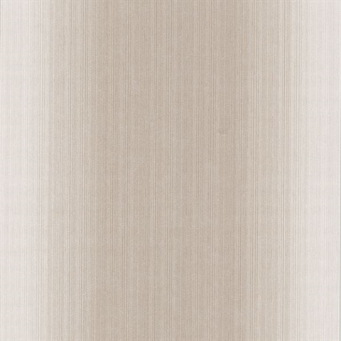 Blanch Beige Ombre Texture