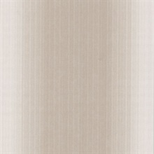 Blanch Beige Ombre Texture