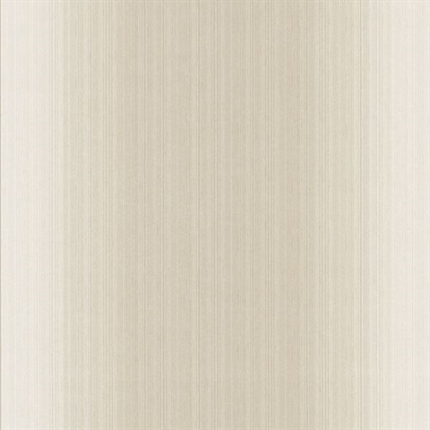 Blanch Neutral Ombre Texture