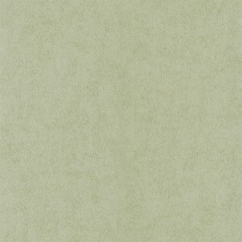 Vella Light Green Air Knife Texture