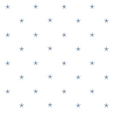 White Sands  Blue Starfish