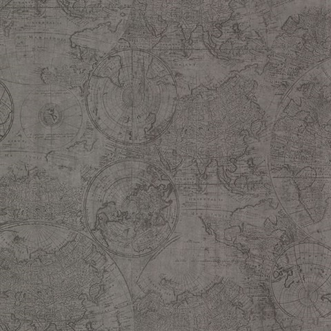 Cartography Pewter Vintage World Map