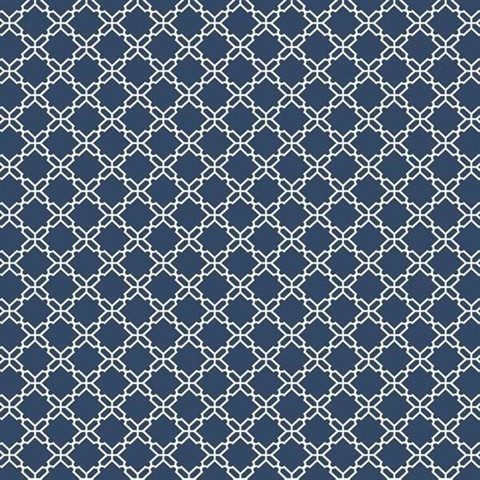 Geometric Trellis