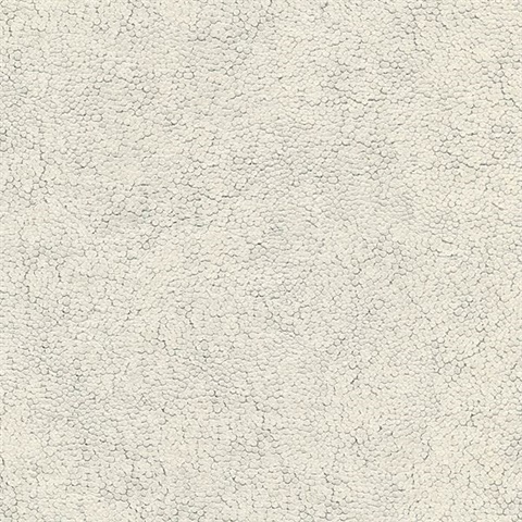 Soda Silver Shiny Circle Texture Wallpaper