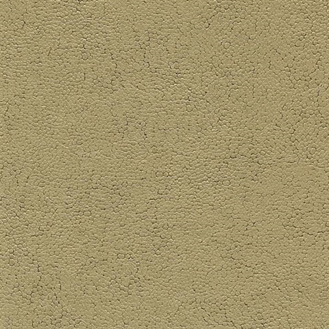 Soda Cafe  Shiny Circle Texture Wallpaper