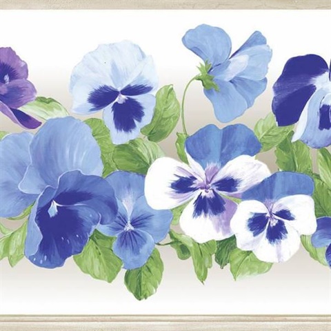 Pansy Border