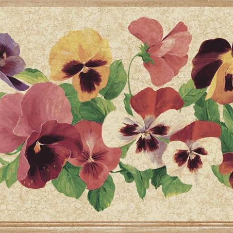 Pansy Border