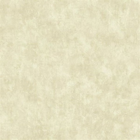 Canvas Texture