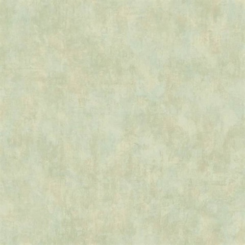 Canvas Texture