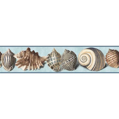 Sea Shell Border