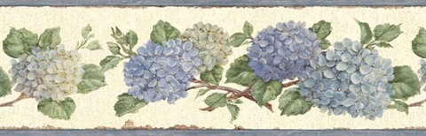 Blue Hydrangea Border