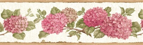 Red Hydrangea Border