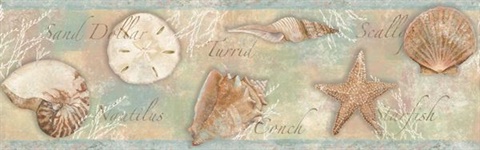 Brown Sea Shells  Border