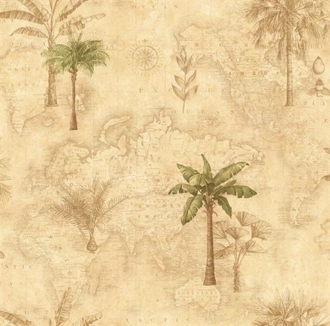 Neutral Tropical Palm Trees