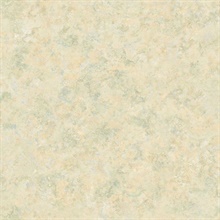 Neutral Safe Harbor Marble