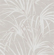 Song Grey Fountain Palm