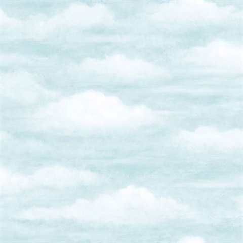 Daydreamer Light Blue Clouds Faux Effects