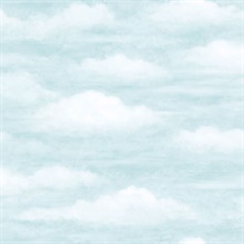 Daydreamer Light Blue Clouds Faux Effects