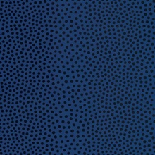 Raindots Marine Noir