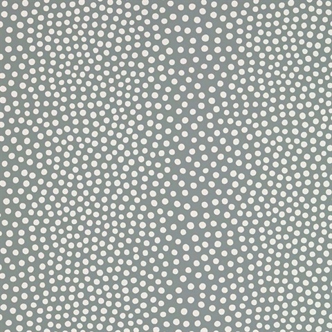 Raindots Fog