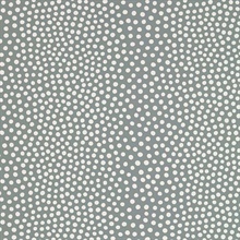 Raindots Fog