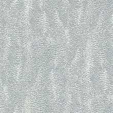 Drizzle Dove