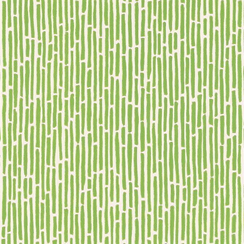 Bamboo Spring