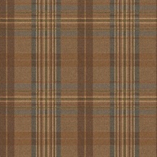Austin Blue Plaid