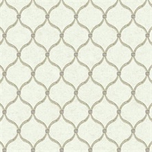 Dot Trellis