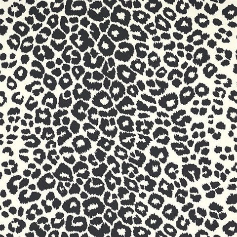 Iconic Leopard Graphite