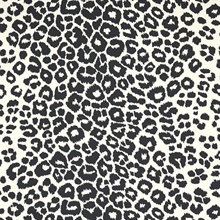 Iconic Leopard Graphite