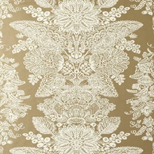 Lace Champagne
