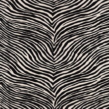 Zebra Black On Bone