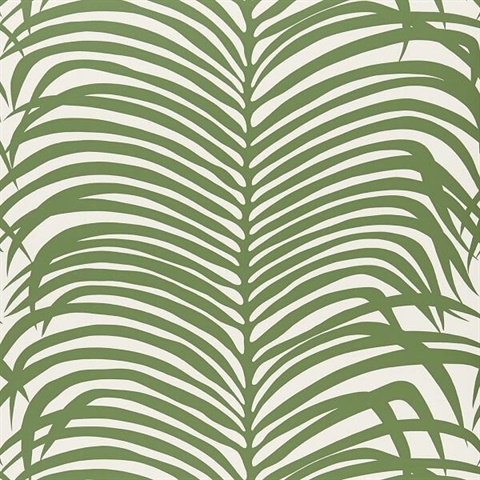 Zebra Palm Jungle