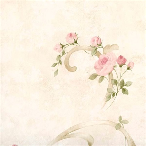 Escot Blush Tearose Acanthus