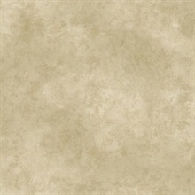 May Beige Marble Texture