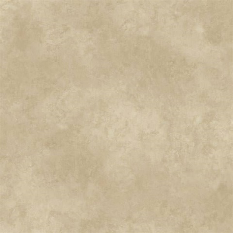 May Grey Marble Texture