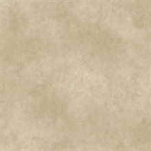 May Grey Marble Texture