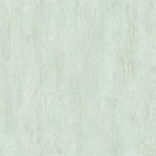 Renaissance Light Blue Distressed Texture