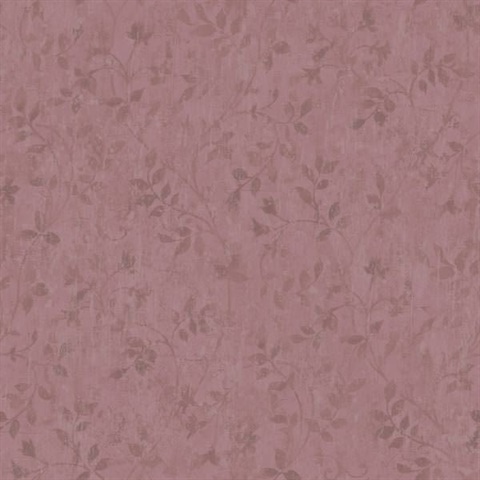 Vinca Maroon Trailing Leaves